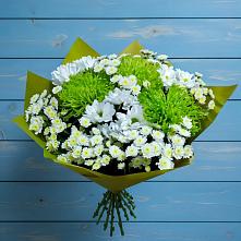 Букет скромность  в Аксубаево Букет цветов из:  Хризантемы в Аксубаево